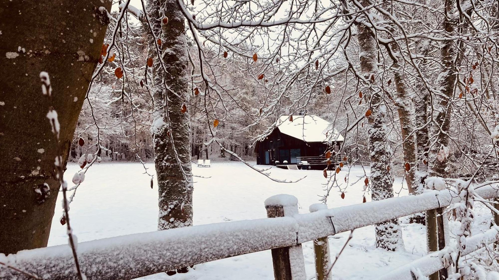 La Cabane D'Amae Marche-en-Famenne Exteriér fotografie